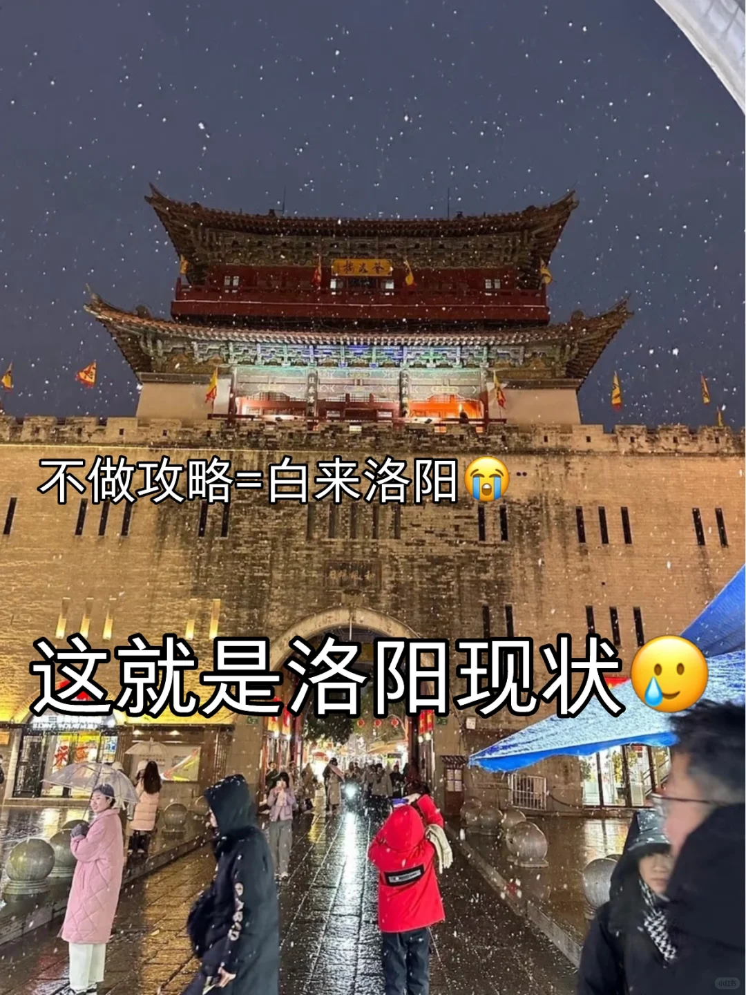 1月份洛阳现状，想要去的姐妹尽早改行程