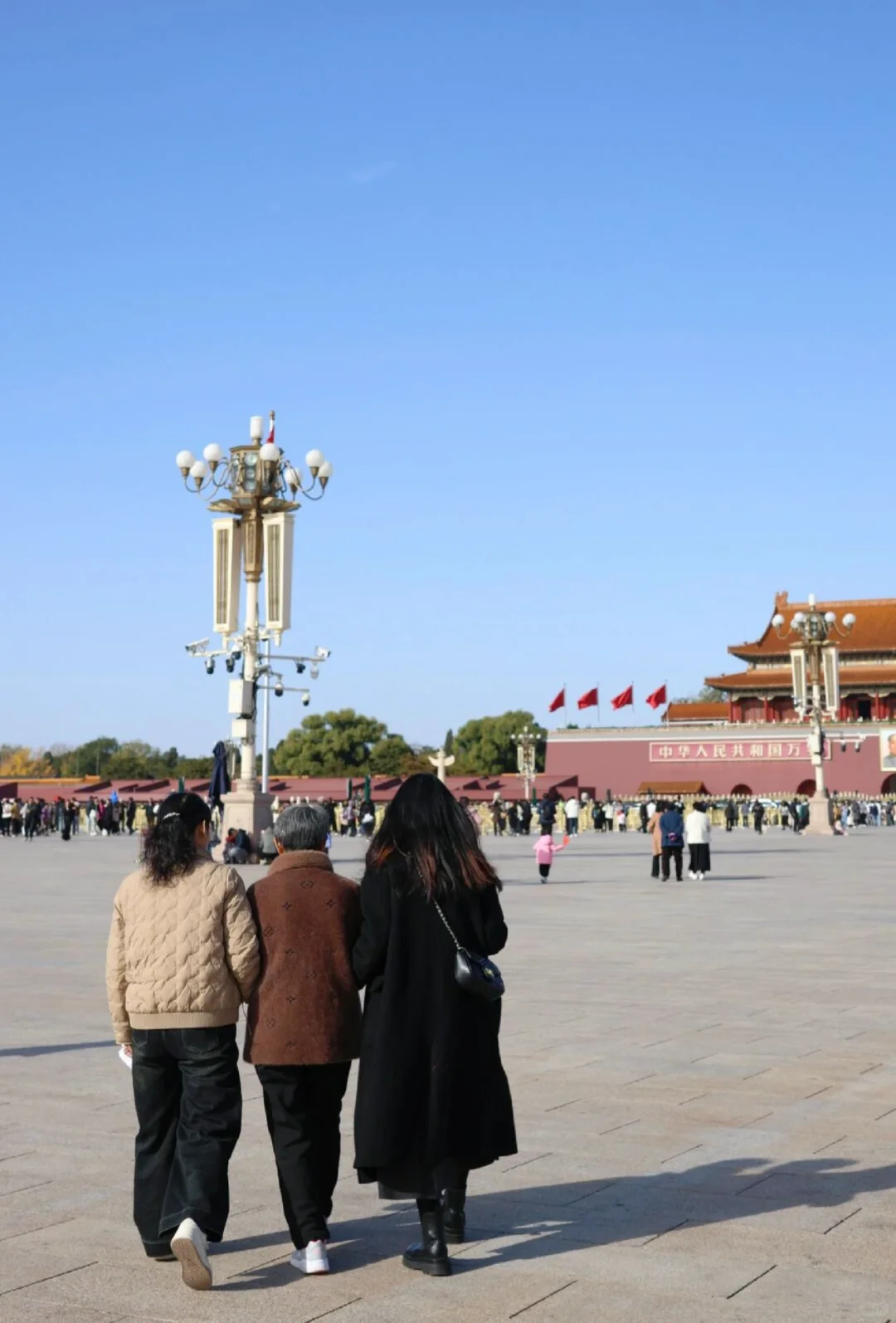 1.7北京受冻已回，我们的避雷建议🇨🇳