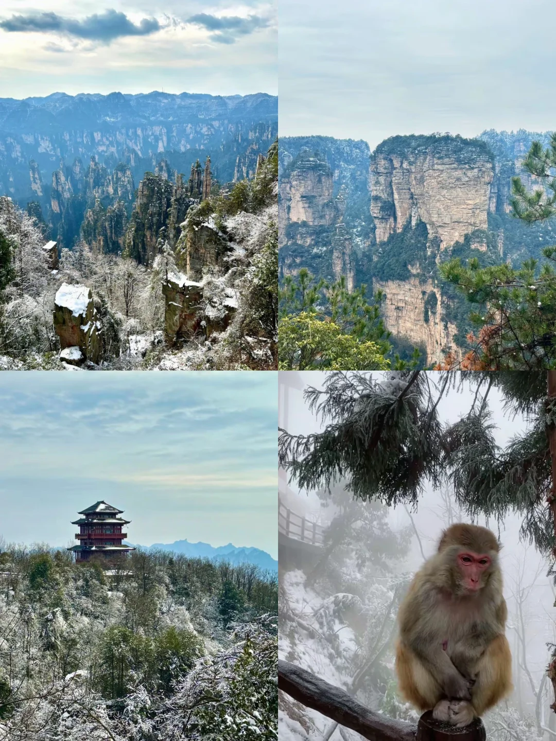 张家界下雪了❗️去看雪滑雪先做好这些准备