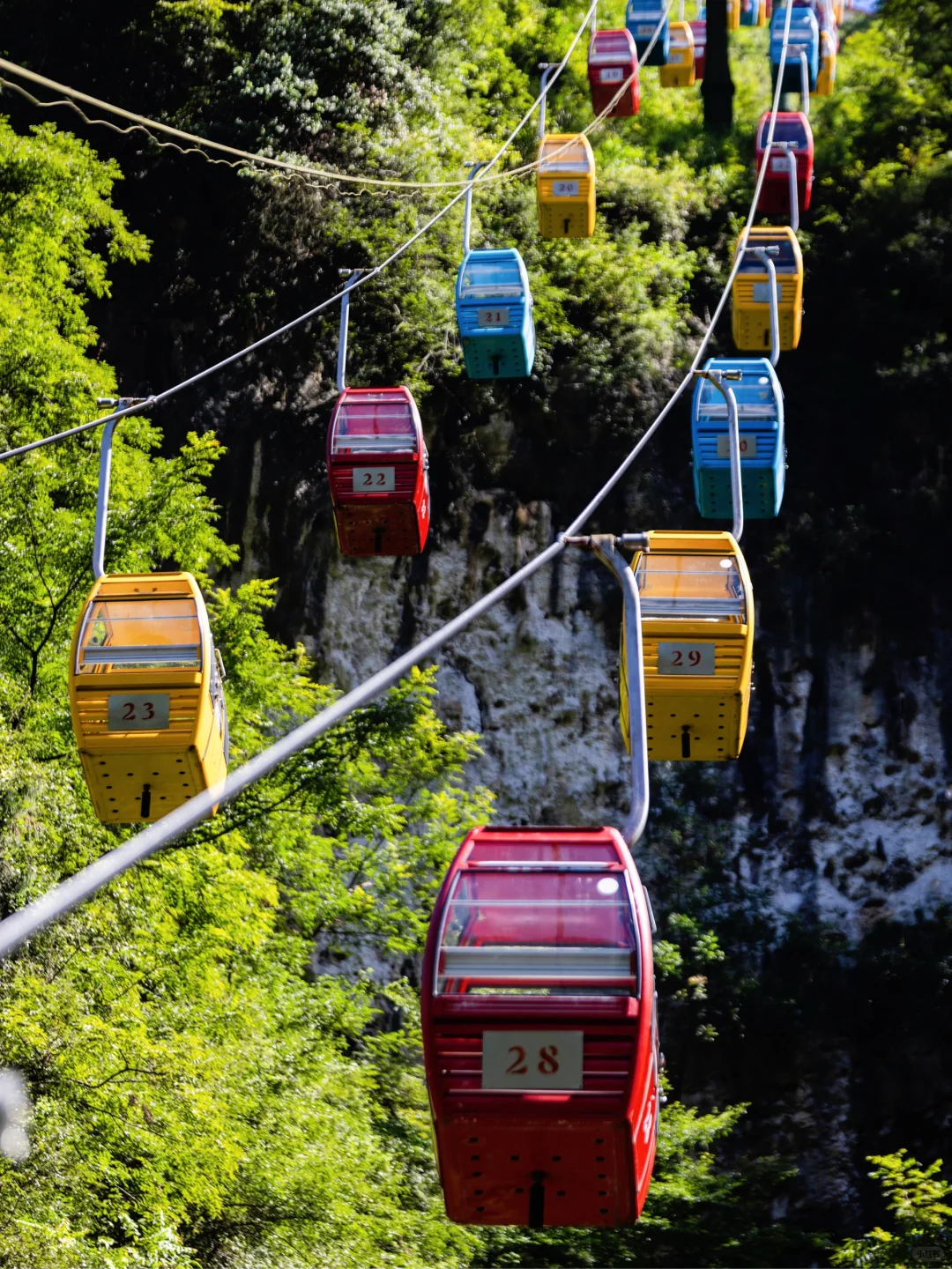 不花钱‼️坐涪陵旅游景区直通车🚌