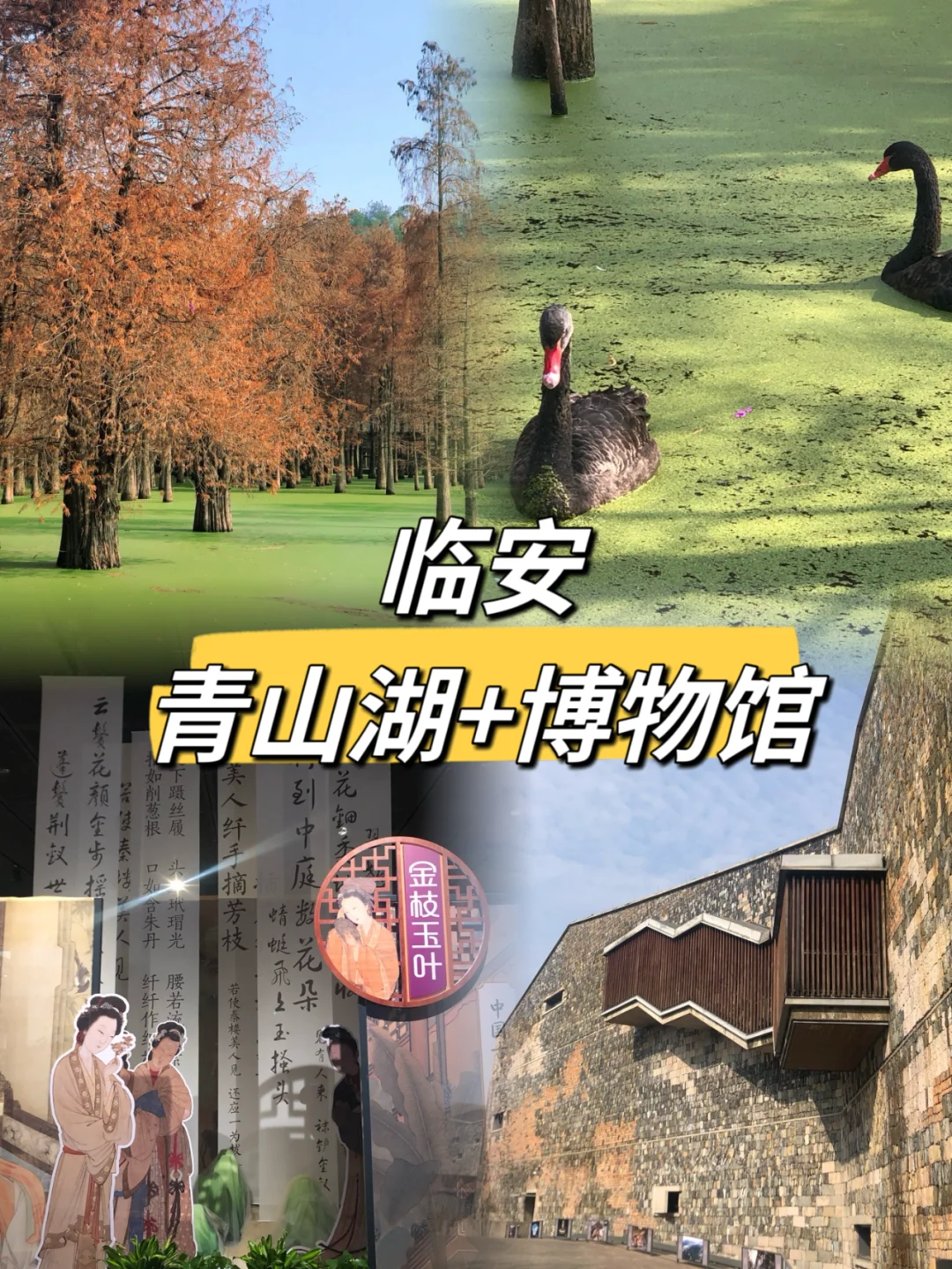 16月龄/带娃见世面，网红景区走一圈