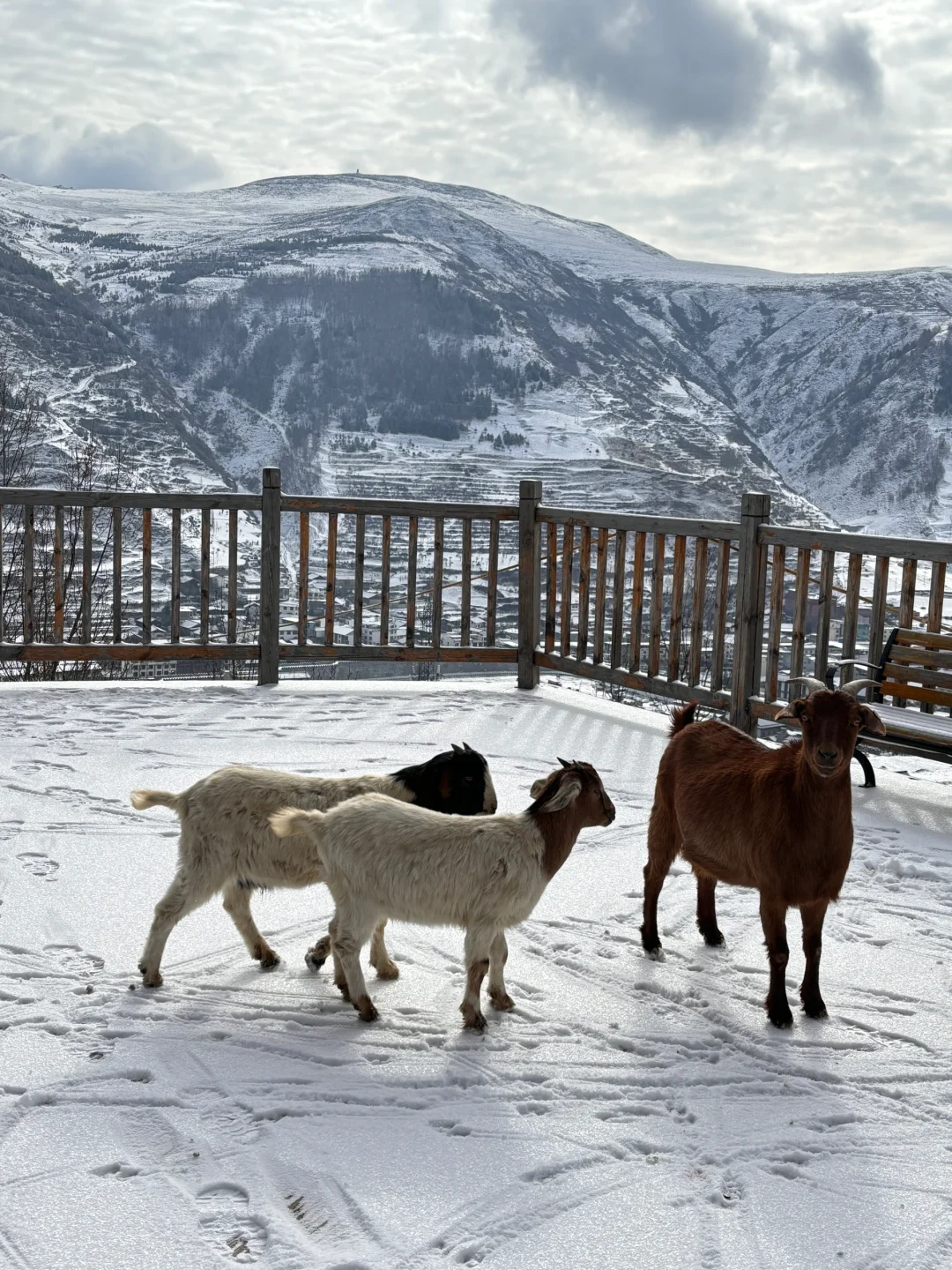 特种兵冬季九寨沟旅游攻略