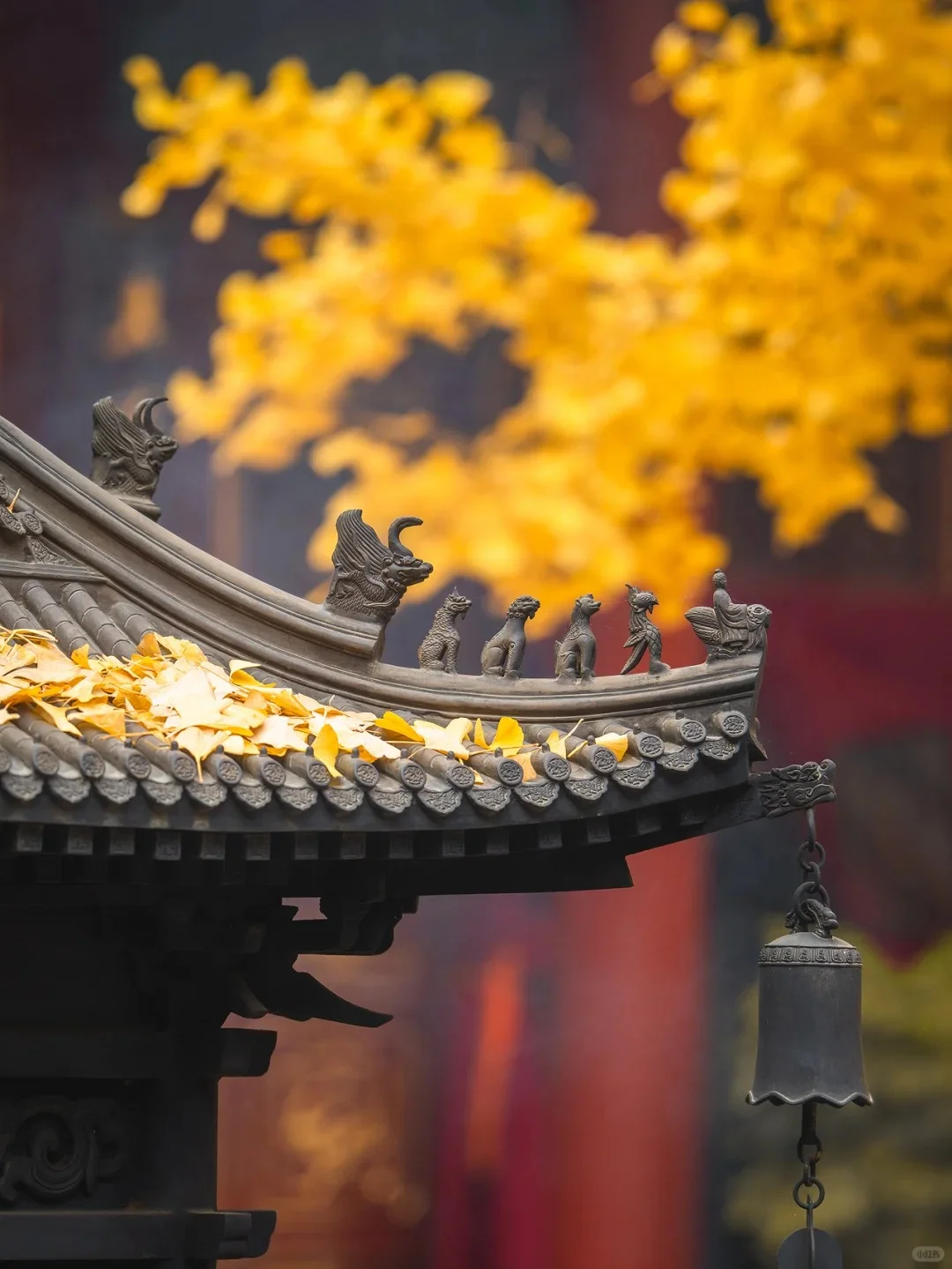 成都旅游｜连夜写的三天行程攻略！一定要看