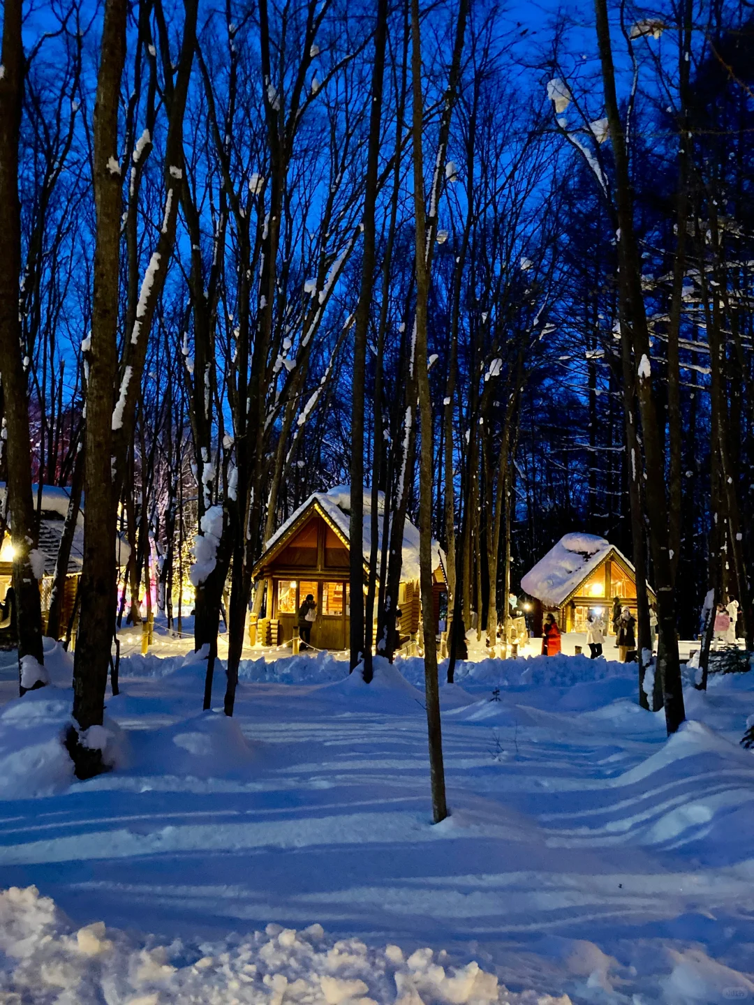 来一场北海道旅行
