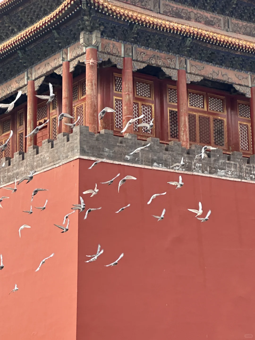 超全超详细的5天4晚北京旅游攻略❗️快收下