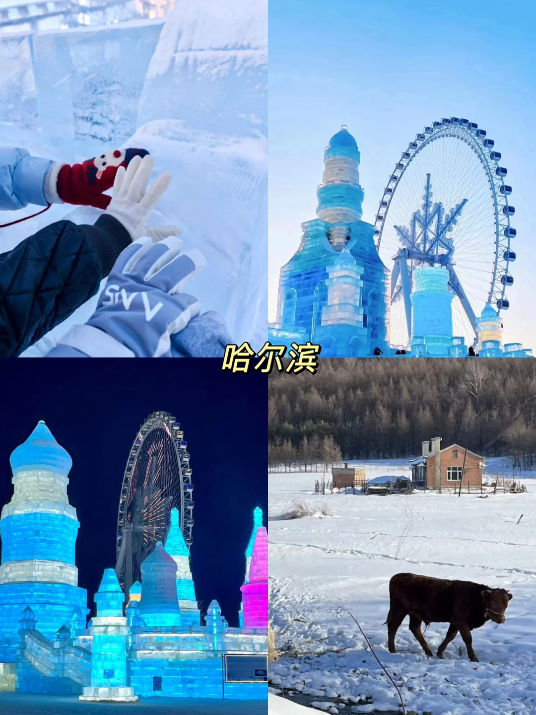 国内适合寒假遛娃的top6城市！好玩不贵🐎