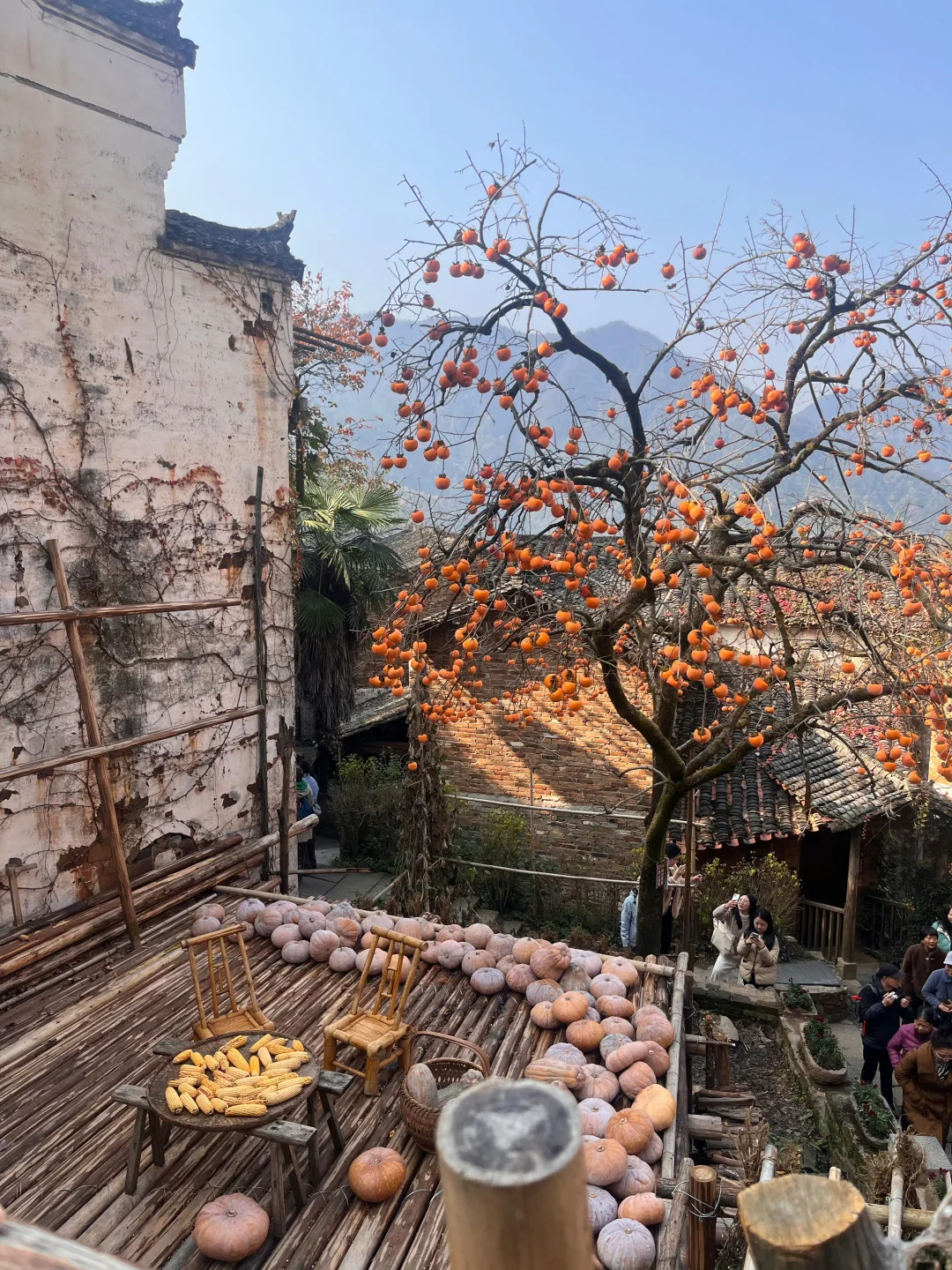 写给12-2月准备去婺源的姐妹👭超全避雷