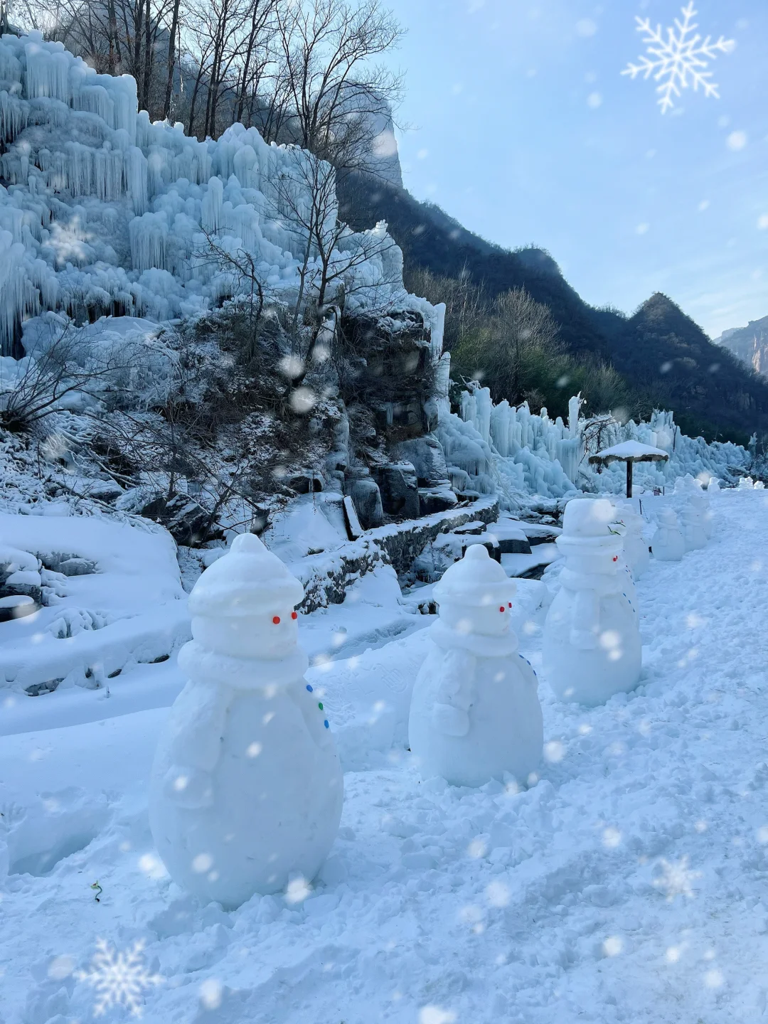 冬天不去看冰瀑布还能去看啥🤩