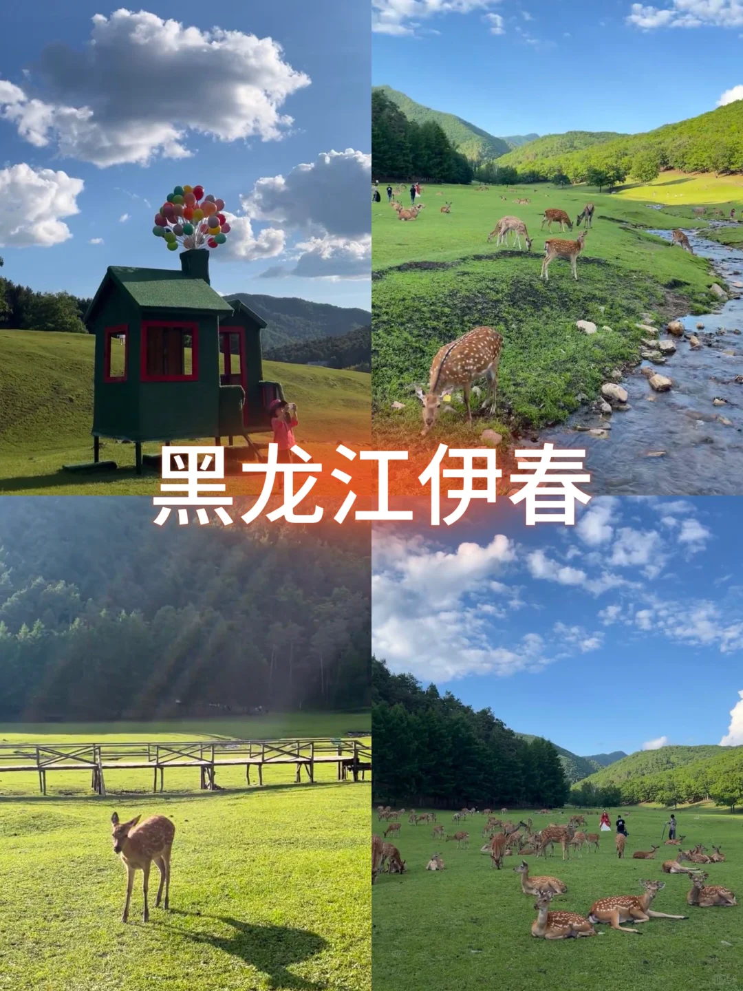 9个适合寒假的旅行地🌅人少景美不去后悔‼️