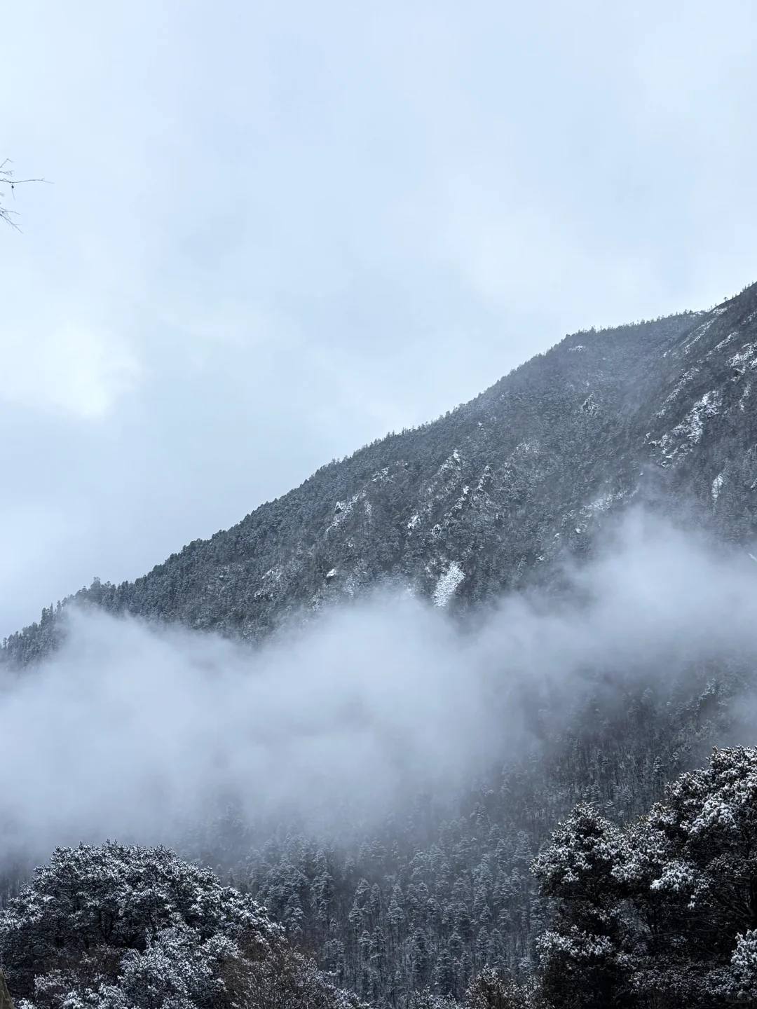 一人一周速通丽江-香格里拉