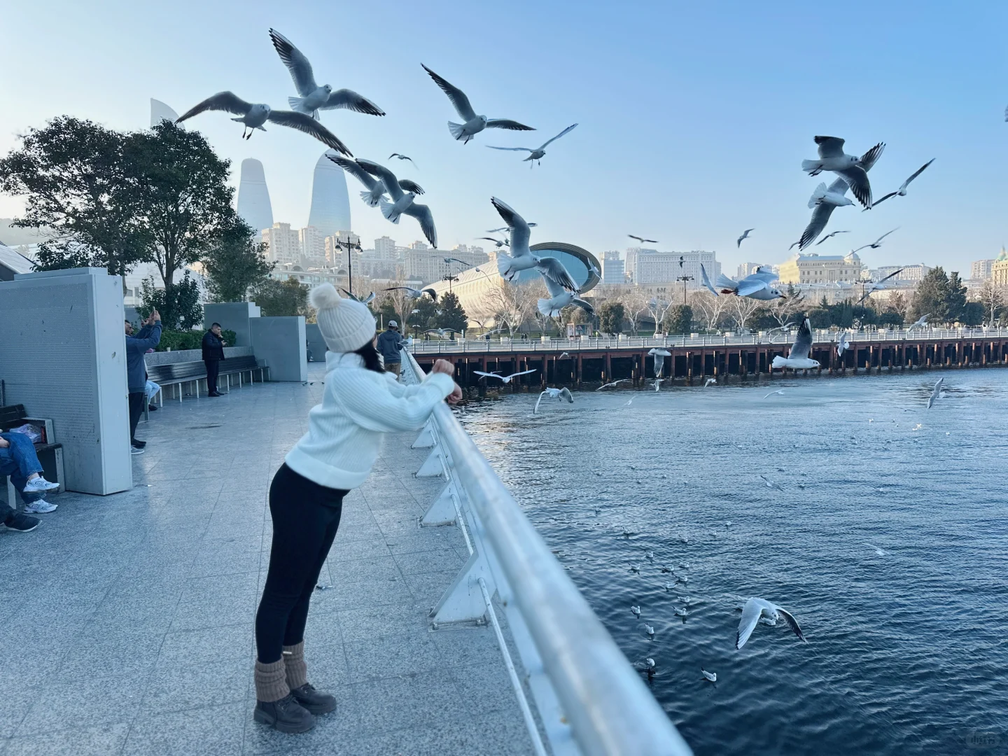 阿塞拜疆巴库第三天—-里海喂海鸥
