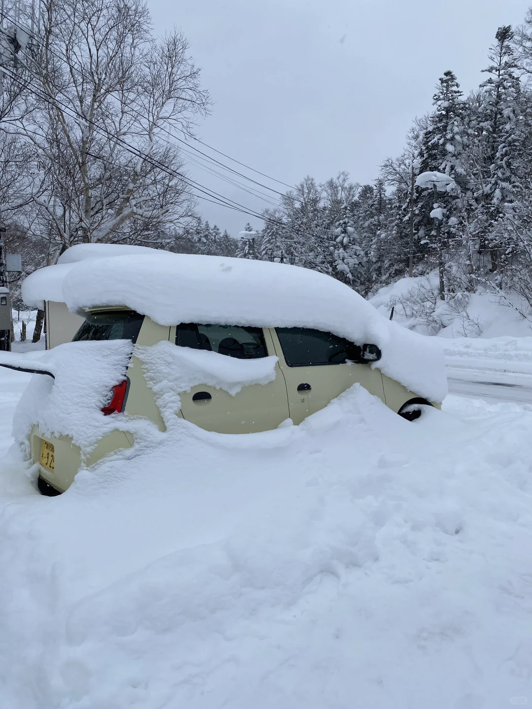 来一场北海道旅行