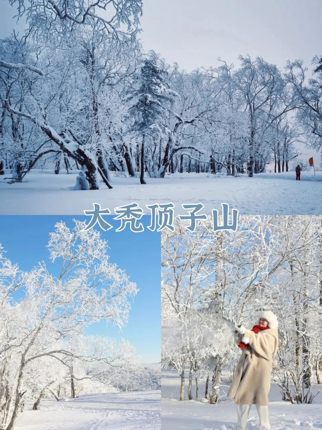 一生总要去一次的哈尔滨雪乡旅游攻略保姆级