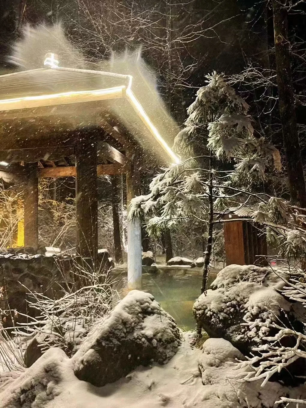 传下去❗️长白山蓝景2025雪季暴跌😭