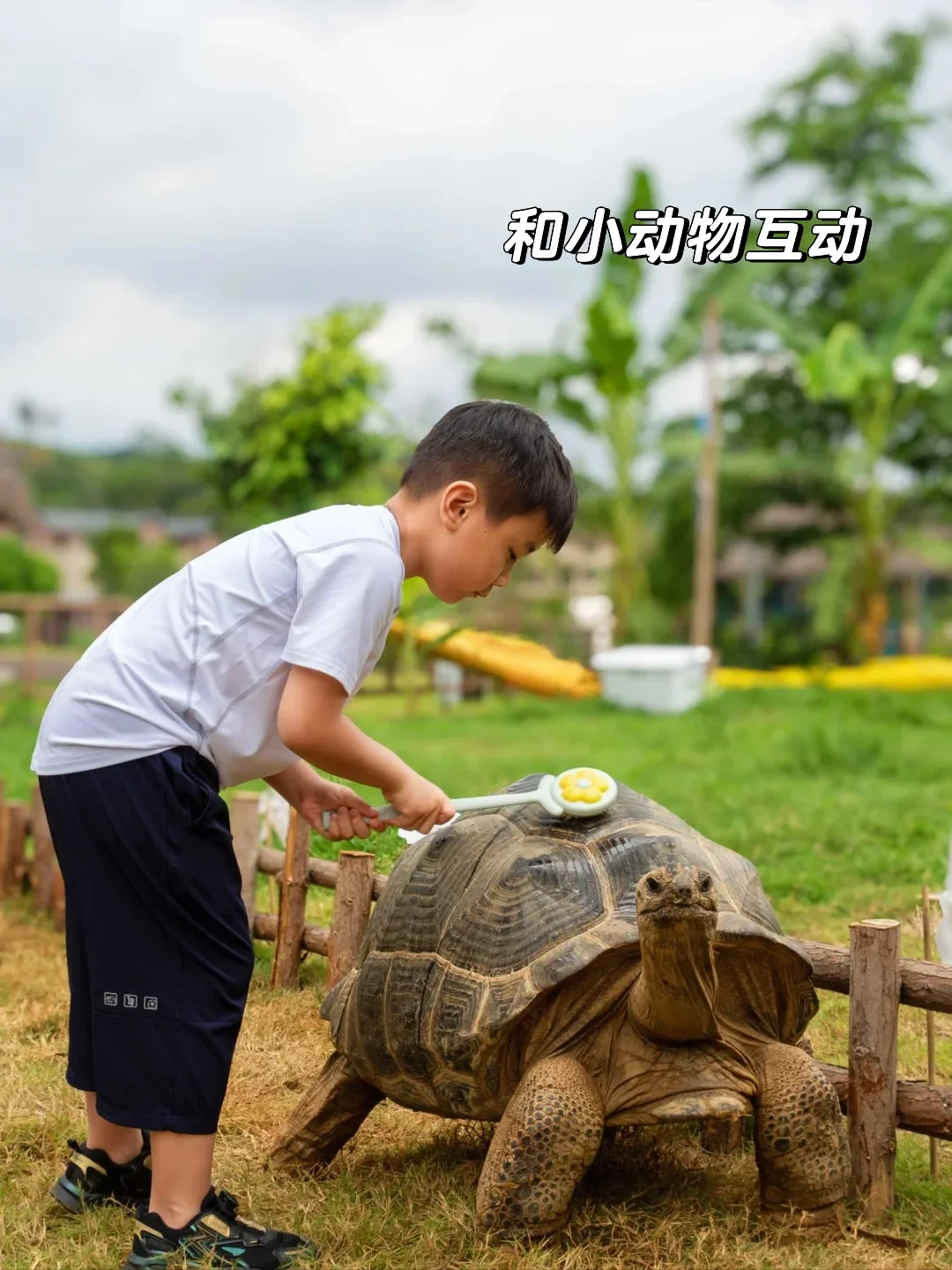 春节22°C的崇左真超神了，比三亚更适合带娃