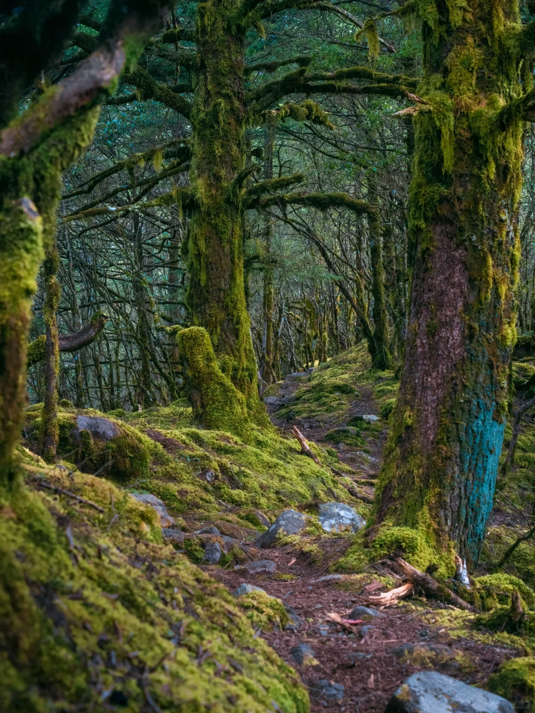 24年徒步过，国内9个震撼我的小众户外秘境