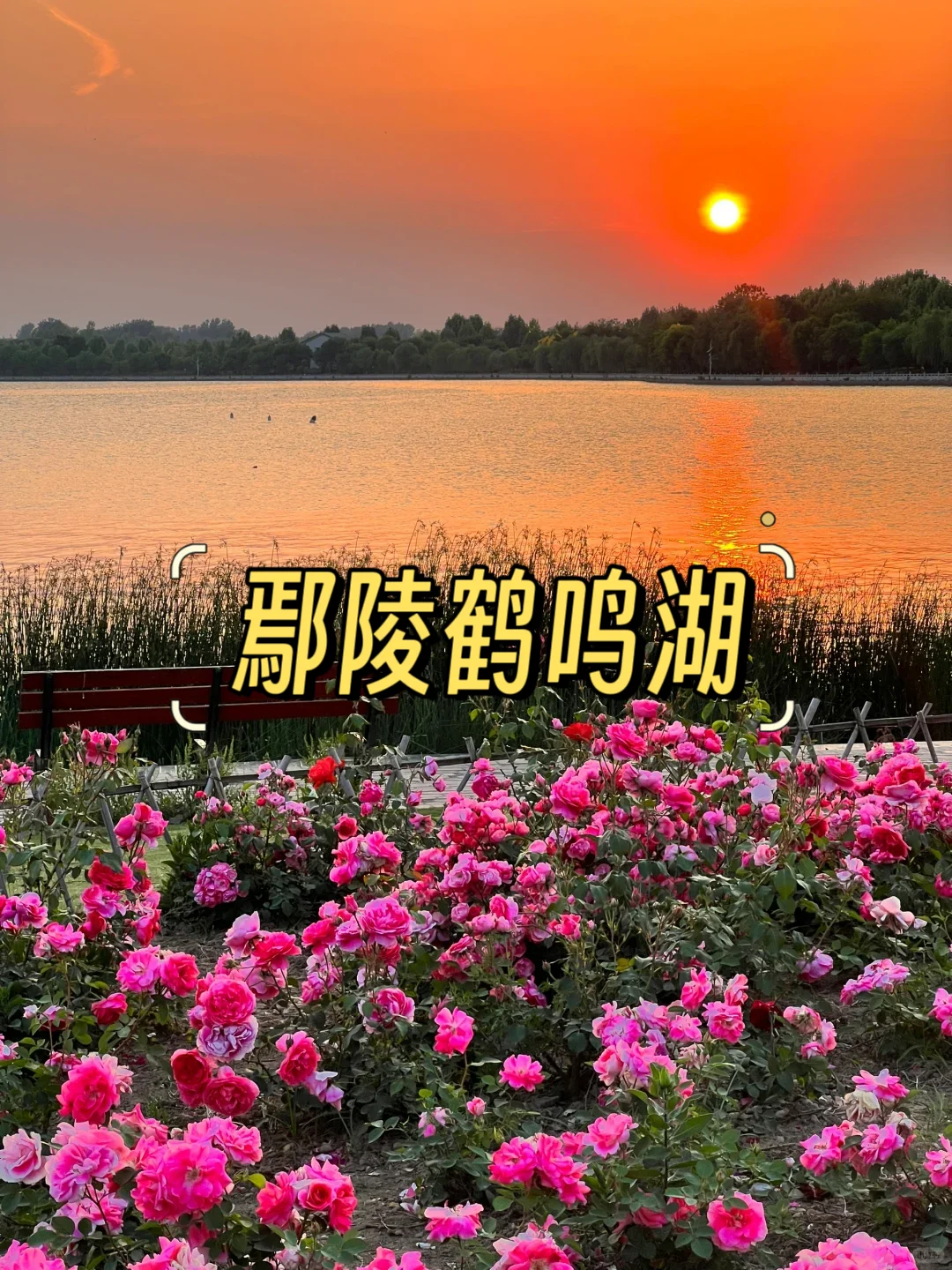 许昌 | 一生必去的 9 大宝藏景点✨