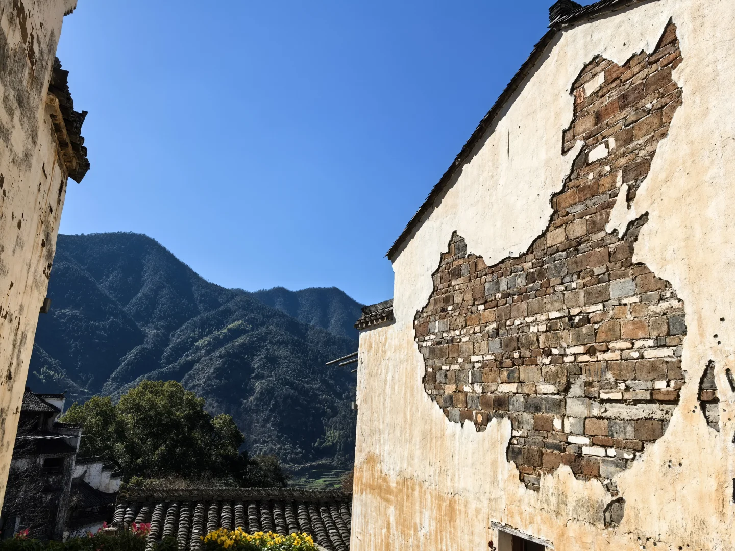 淡季的婺源篁岭我们竟然逛了一整天😊