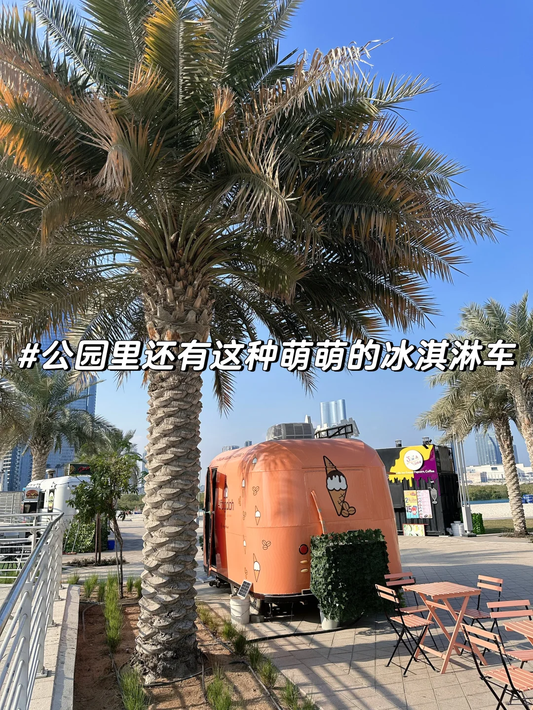 🇦🇪阿布扎比 | 这个季节太适合户外吃早餐