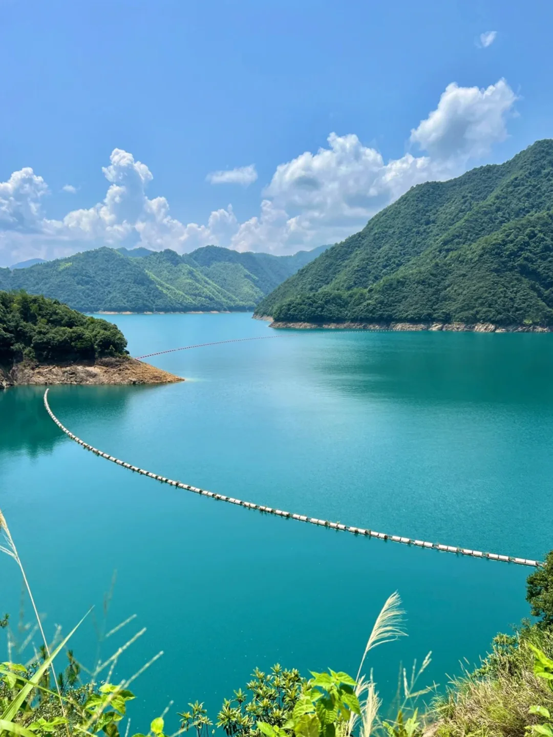 美食天堂，一城吃四省的衢州免费游啦~