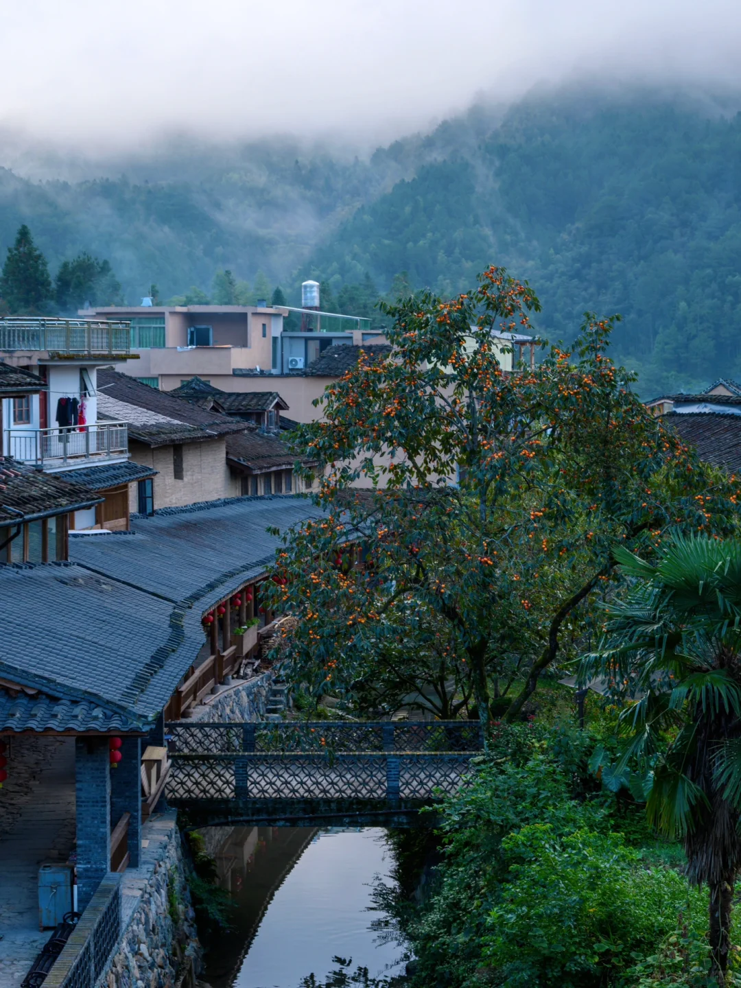 推荐 6 个适合春节旅行的小城🎐人少好逛