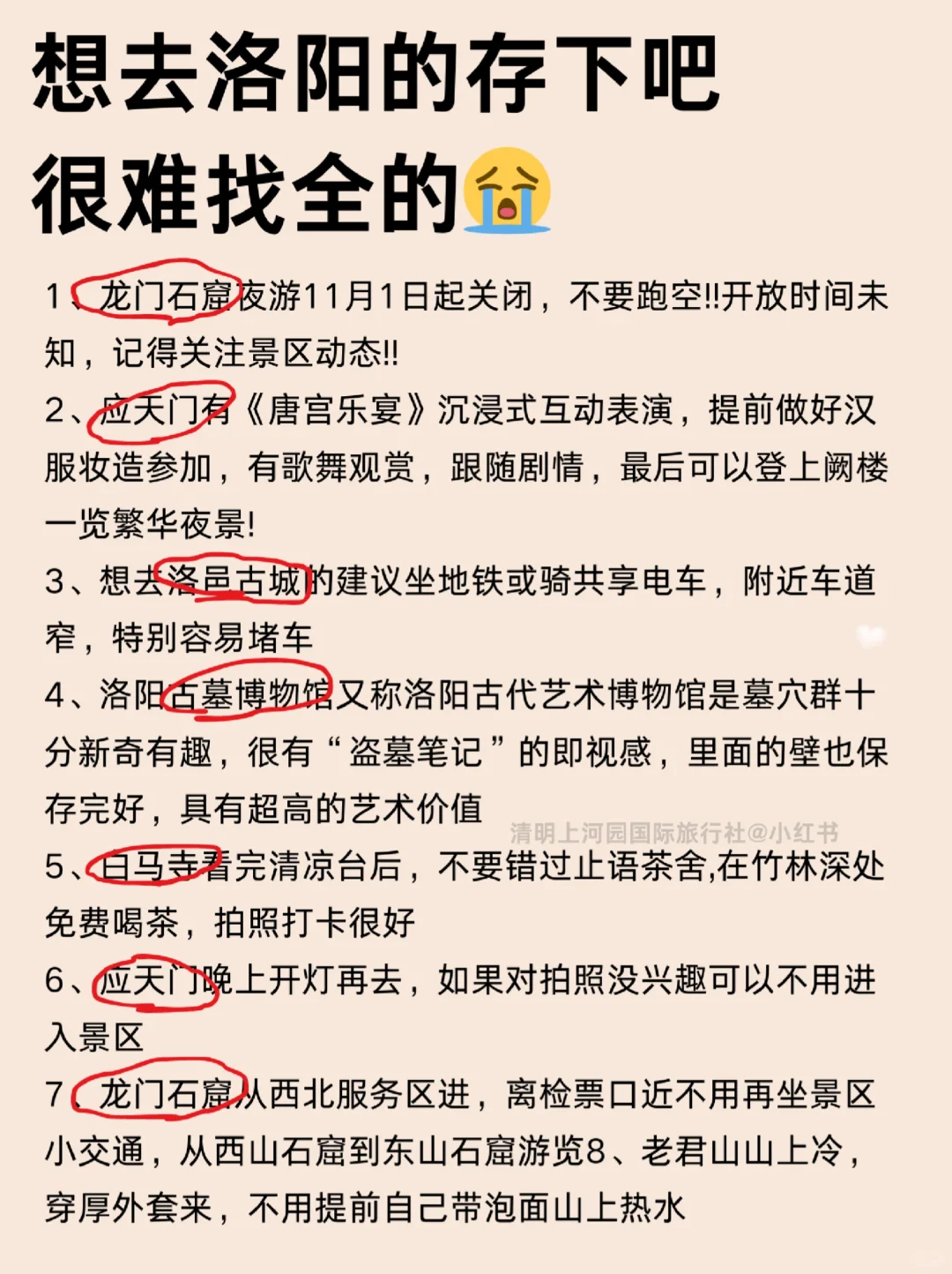 刚带娃从洛阳回来🥵我的建议是。。。