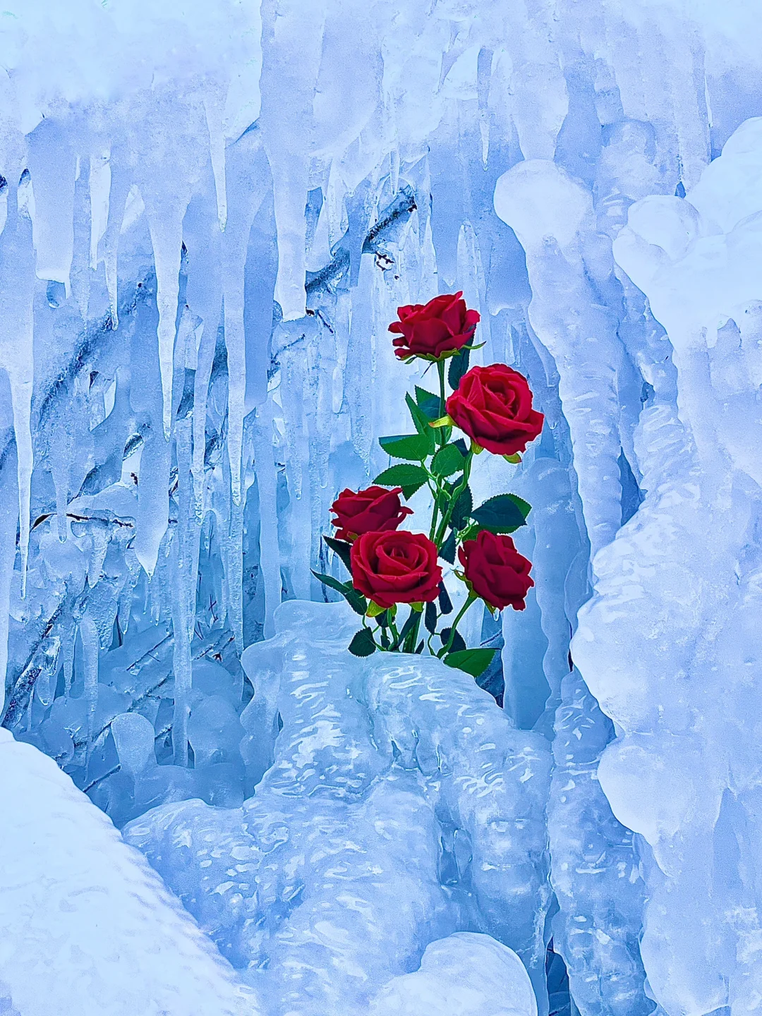 5A景区宝泉2025新年live实拍‼️