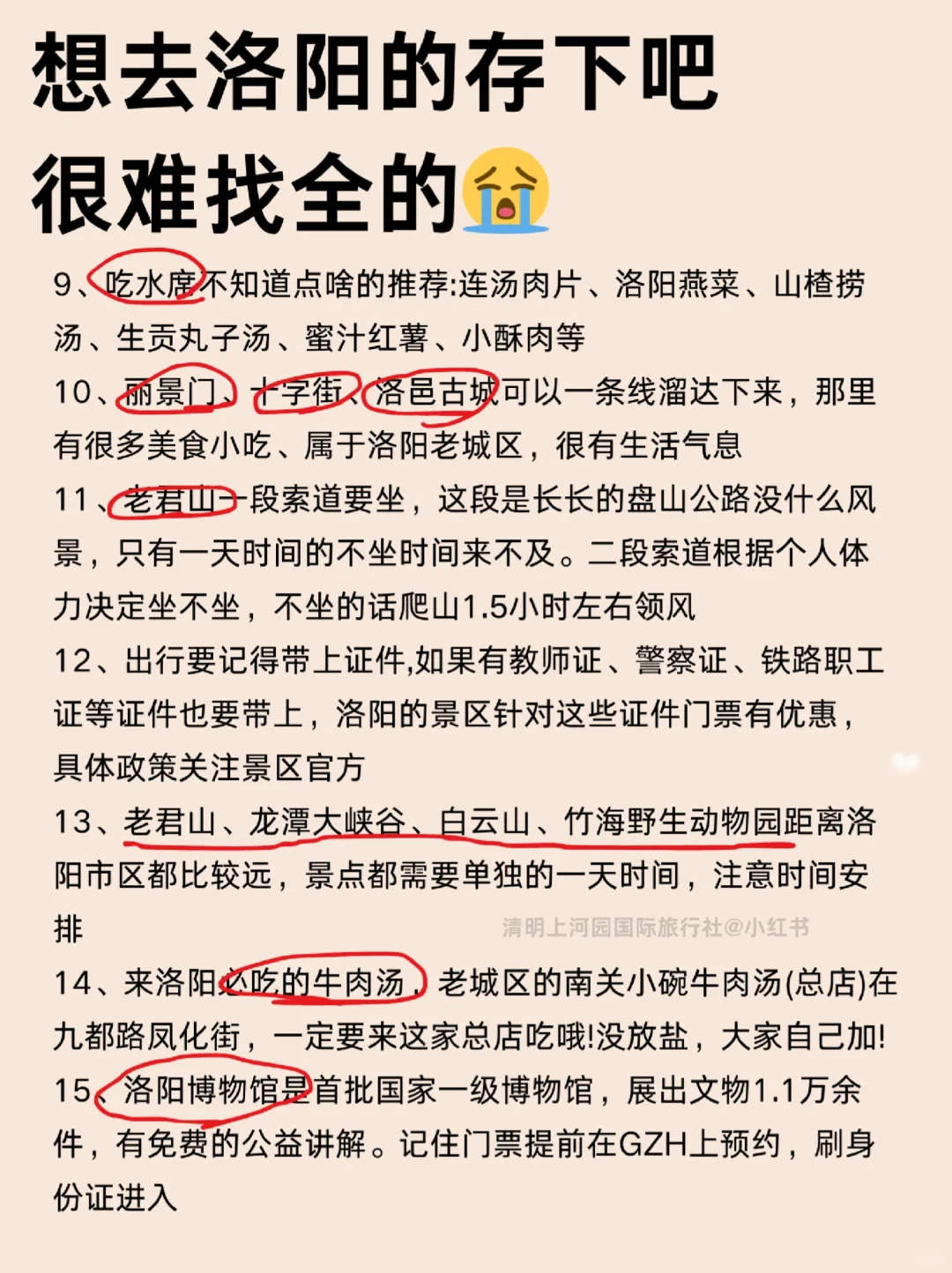 刚带娃从洛阳回来🥵我的建议是。。。