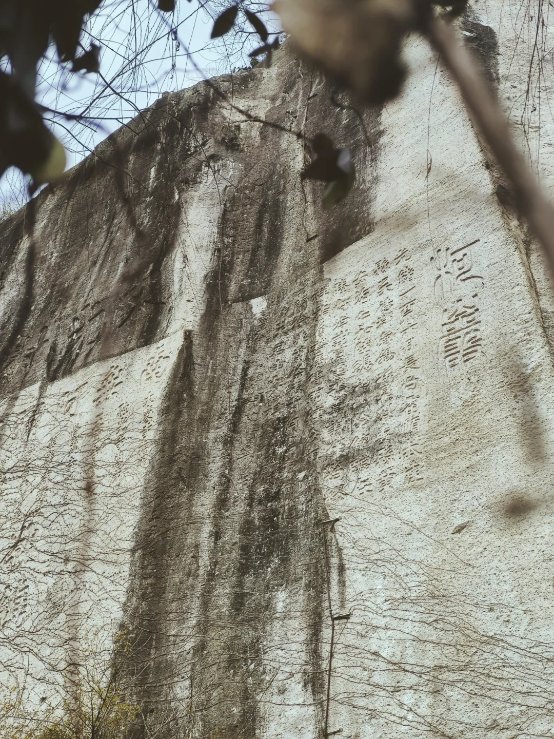 四季的柯岩 只得四季去品