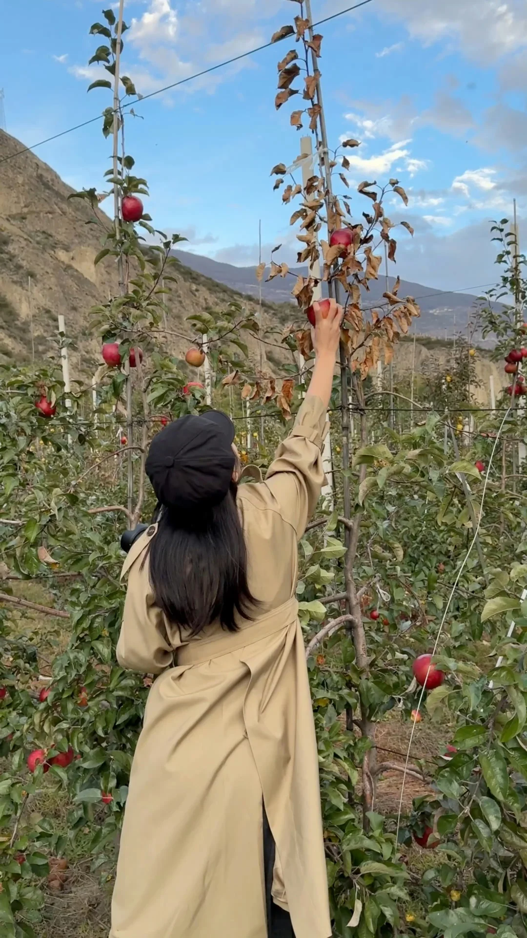 川西 ｜ 富强小金