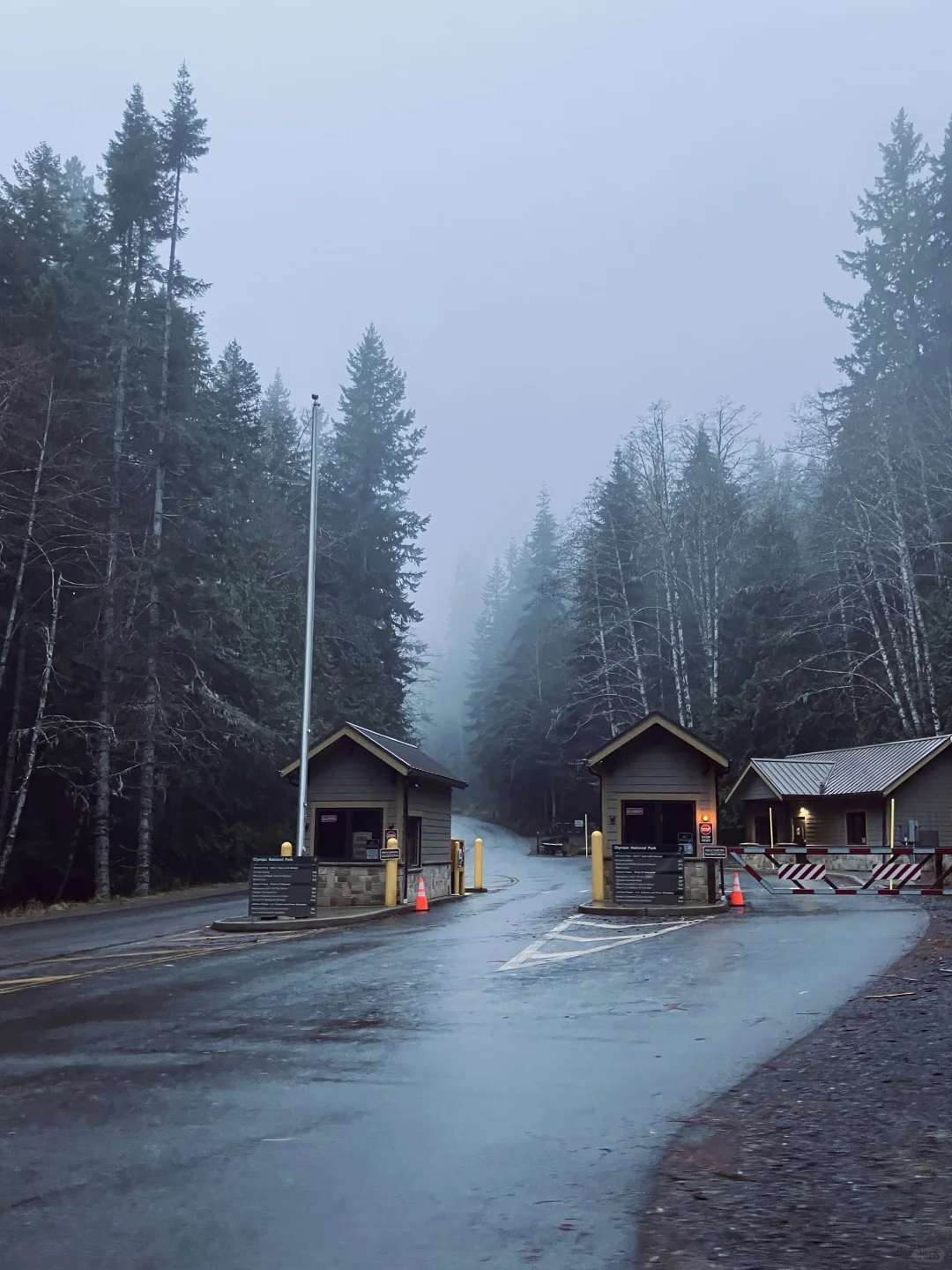 西雅图很美 拍到了我很喜欢的照片