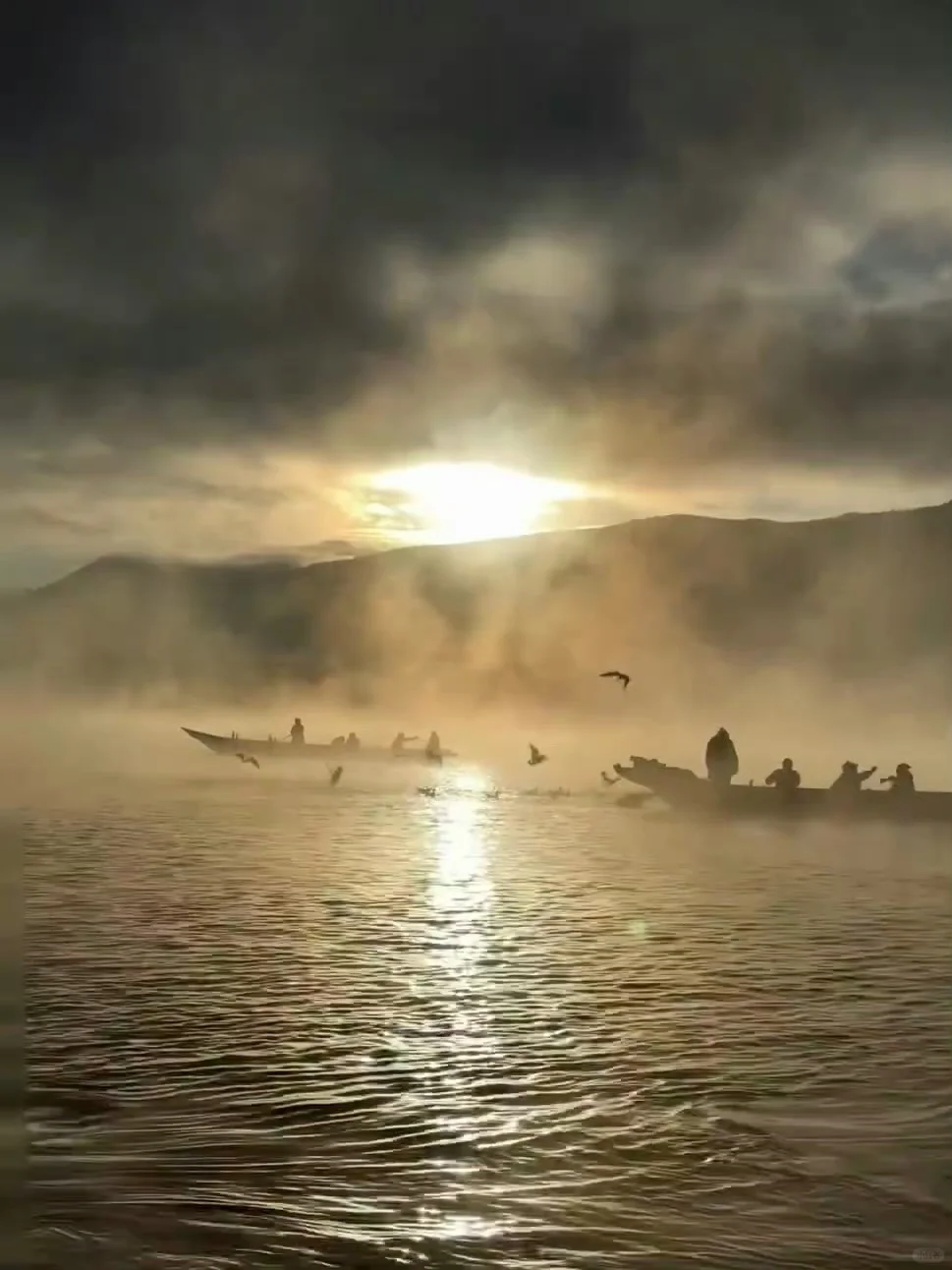 1.11📍泸沽湖已回，live实况+真心建议🤩！！