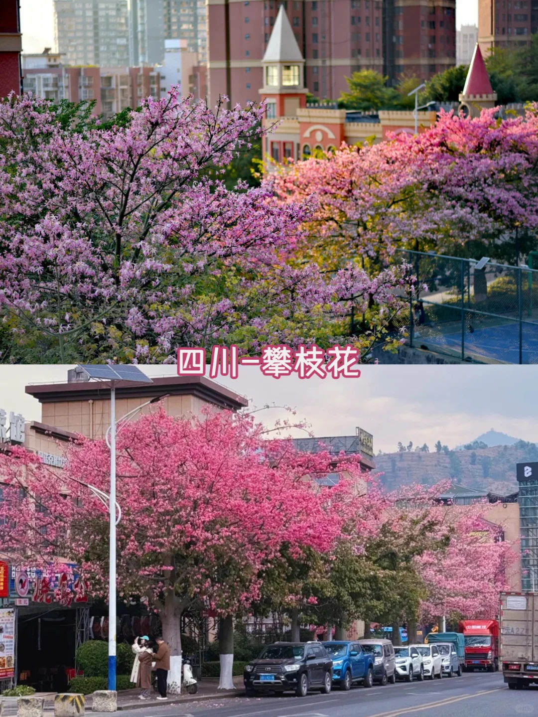 春节旅游🧨12个年味超浓的城市推荐❗️