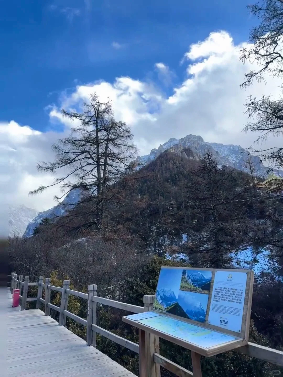 川西｜学生党寒假稻城5天才花💰980