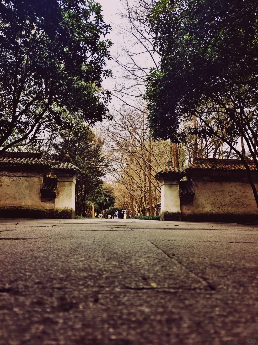 四季的柯岩 只得四季去品