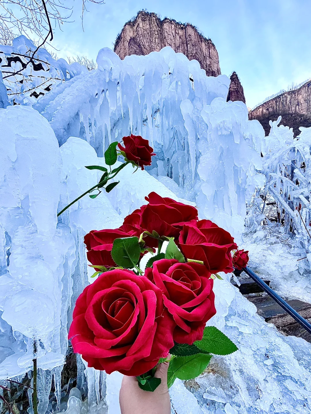 5A景区宝泉2025新年live实拍‼️