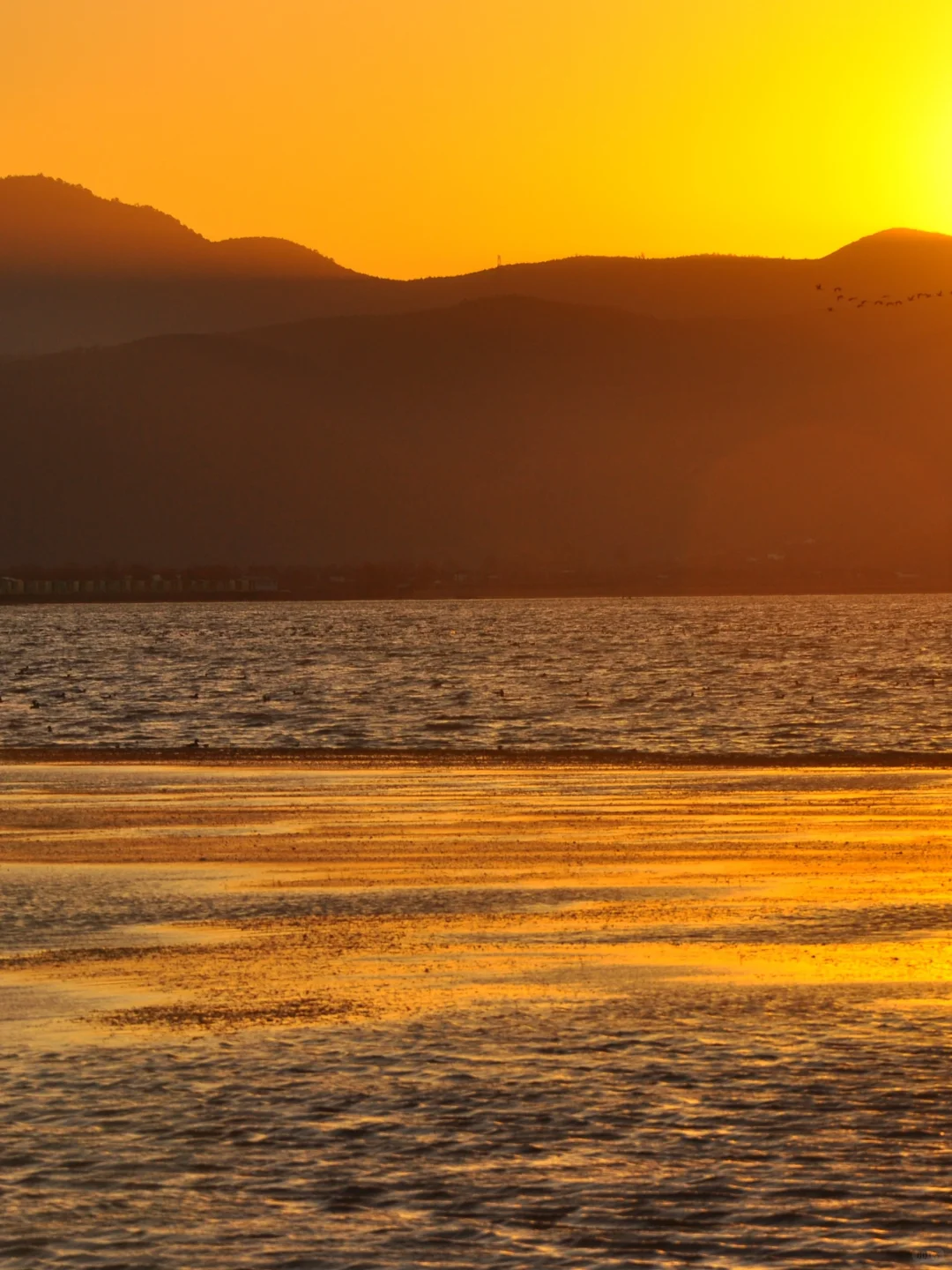 “碰到独自旅行的人，千万别招惹。”