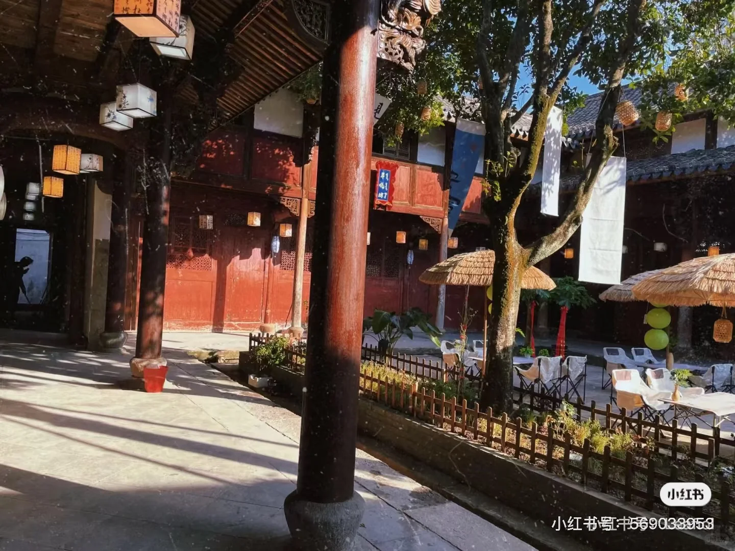 横店最大的景区免费了！春苑、官桥村玩起来！