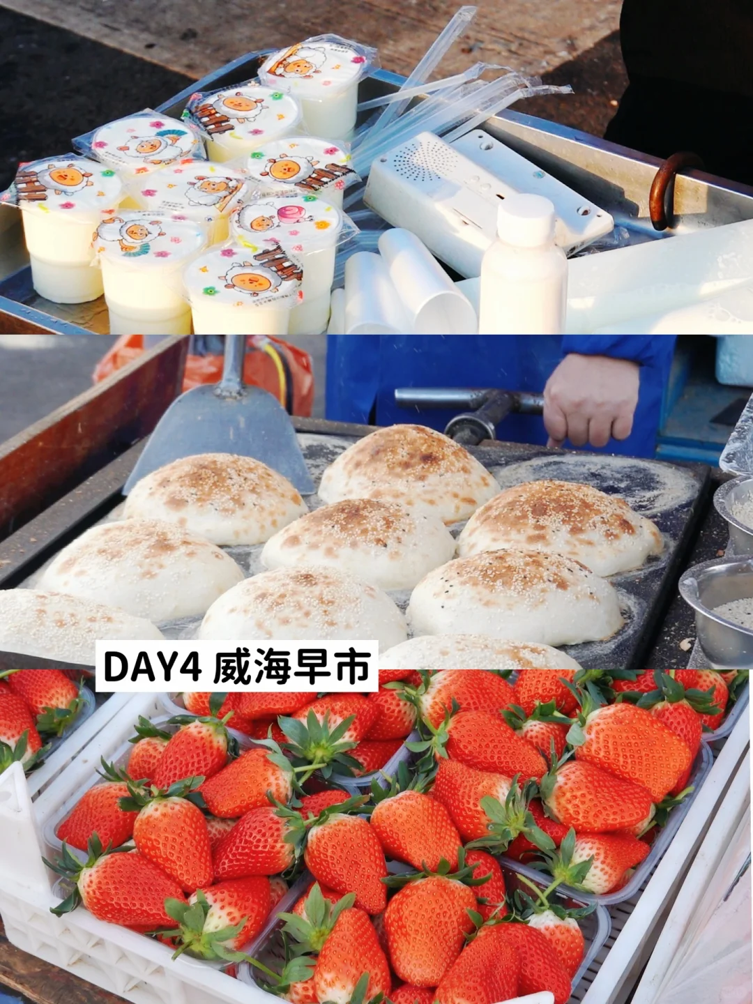 📍广州大学生期末花2k在威海玩了4天3夜