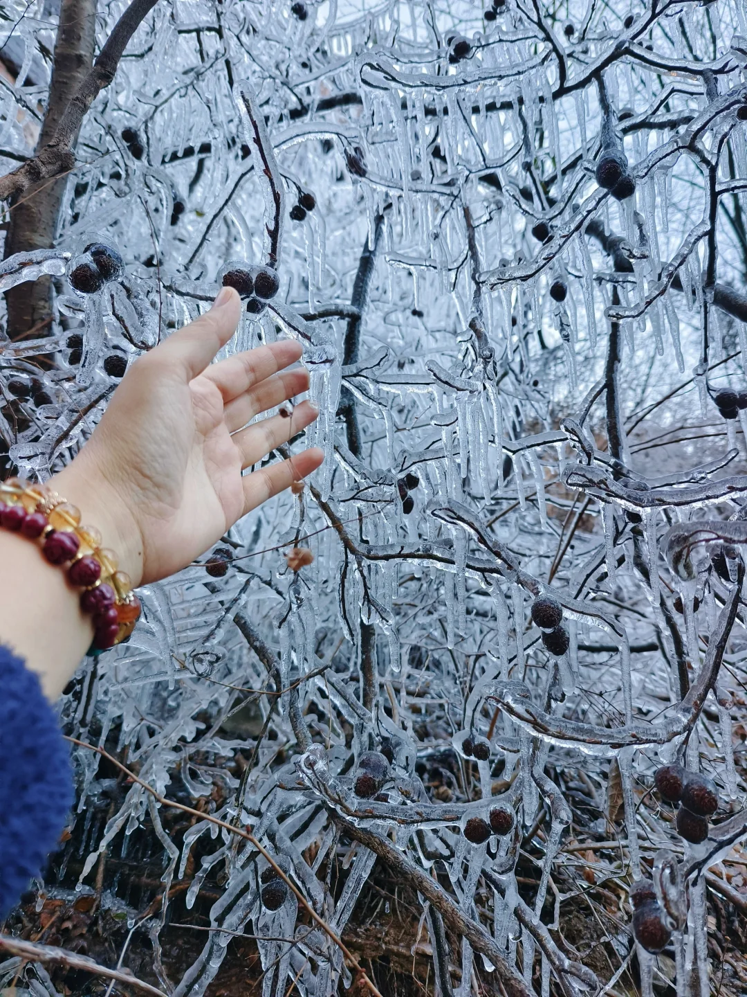 青岛｜崂山北九水冰瀑布打卡攻略