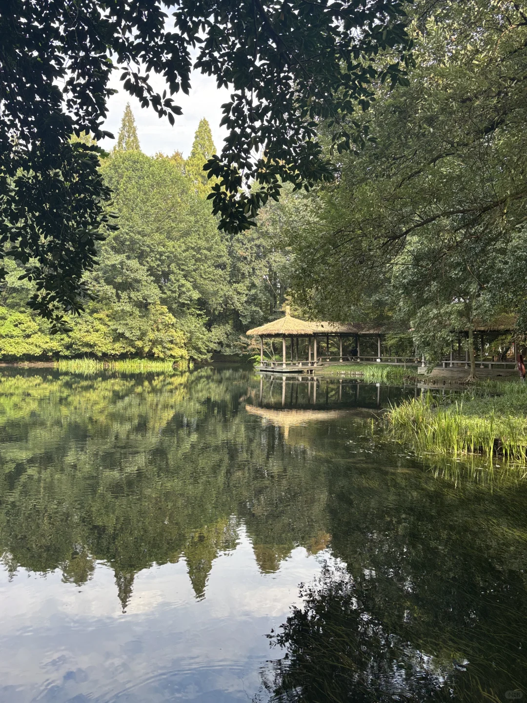 在西湖边溜达，自评6A级景区