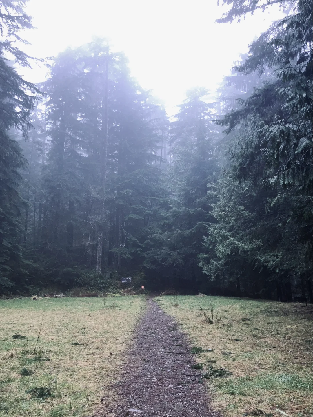 西雅图很美 拍到了我很喜欢的照片