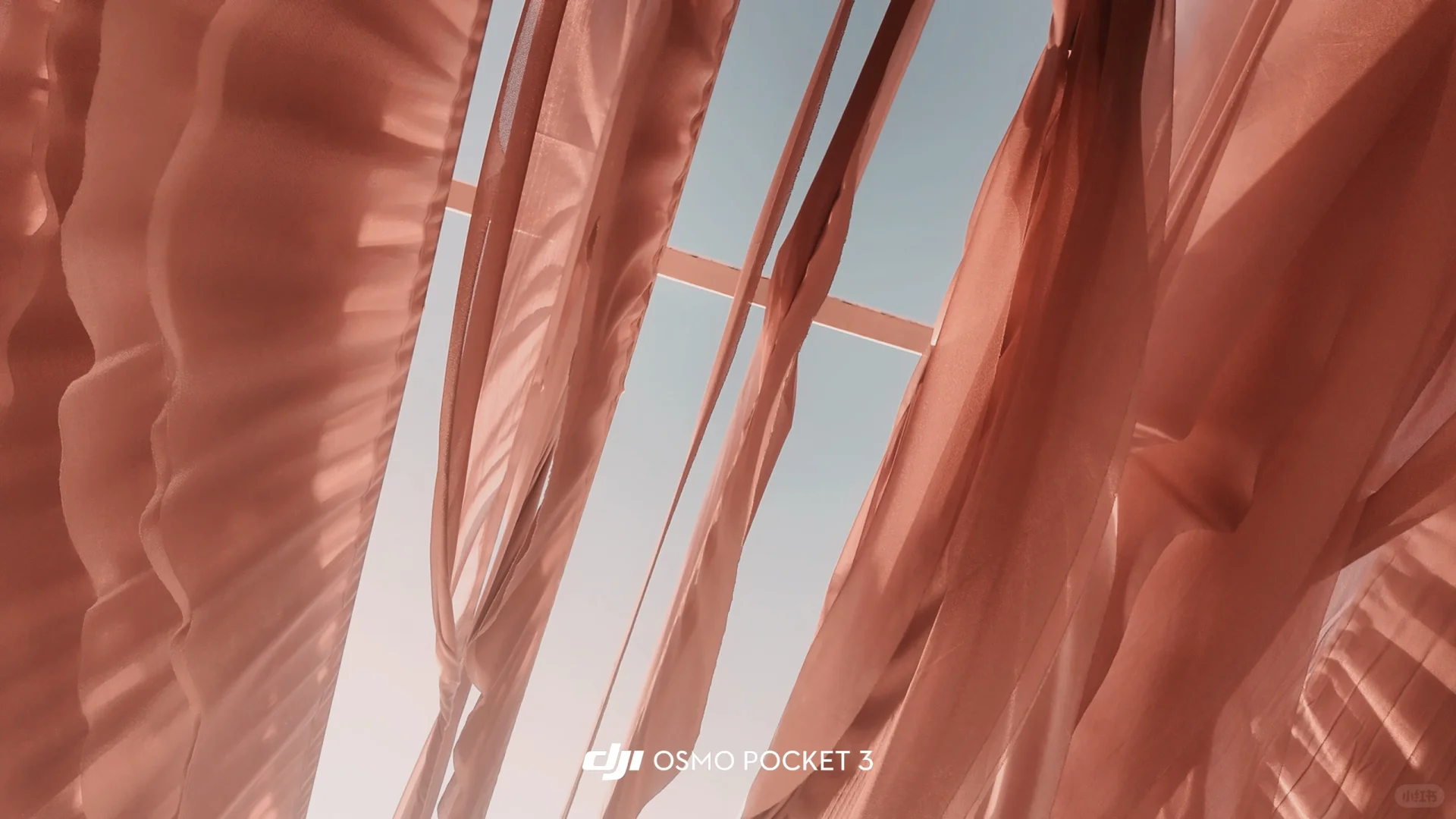 青岛五十块钱轮渡⛴️