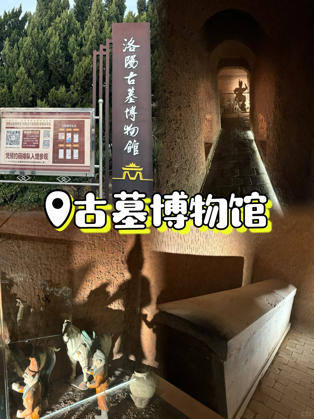 04女大寒假五日游📍洛阳｜洛阳旅游攻略❗️