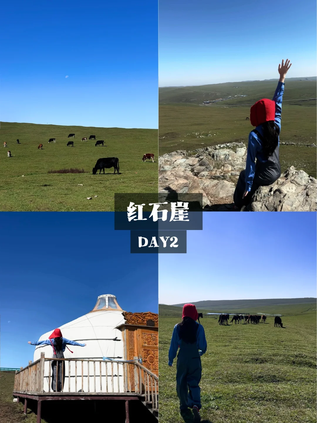i人在内蒙古的五天玩了什么🧐