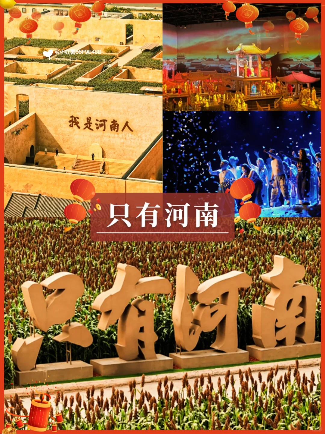 洛阳带娃二刷血😭总结👏旅游去值得参考