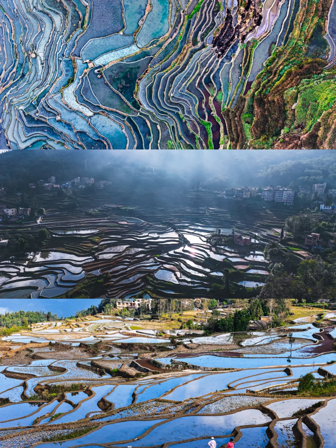 元阳梯田怎么玩,如何住在这里说清楚讲明白
