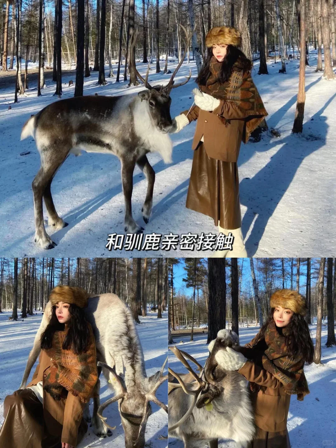 中俄免签！从漠河玩到俄罗斯，邂逅极光