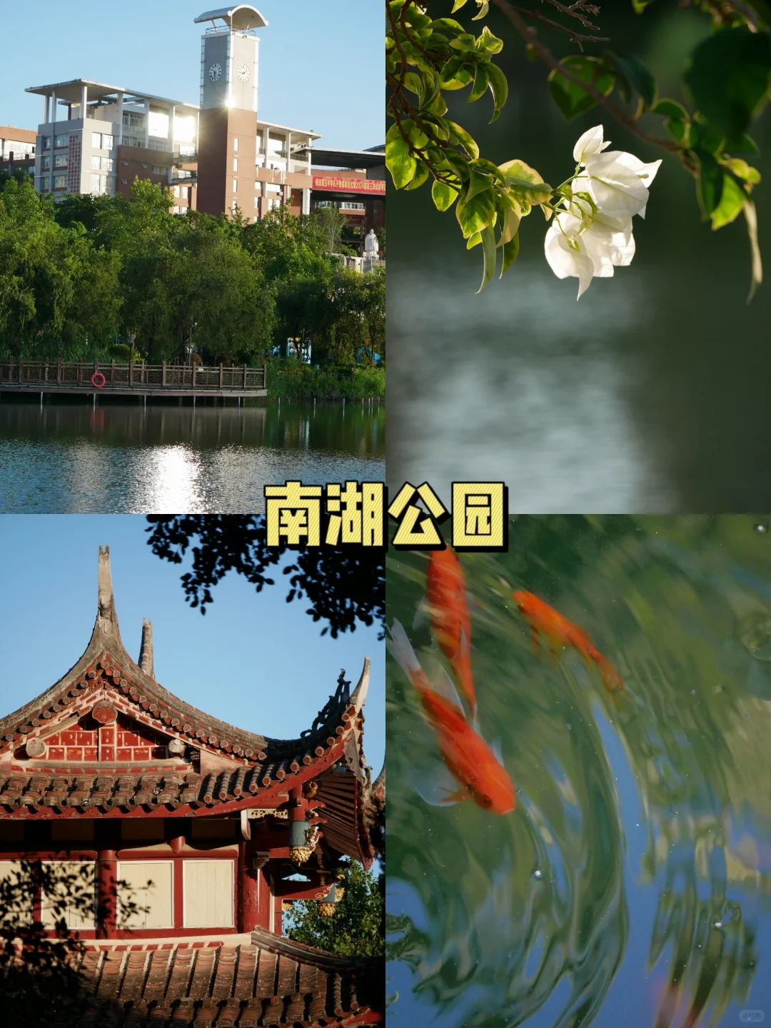 小莆田也有这么多值得一去的景点