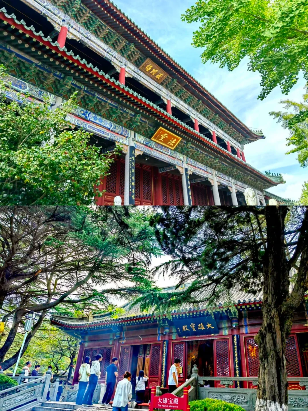👉青岛湛山寺🙏真的一去寡三年么🆘
